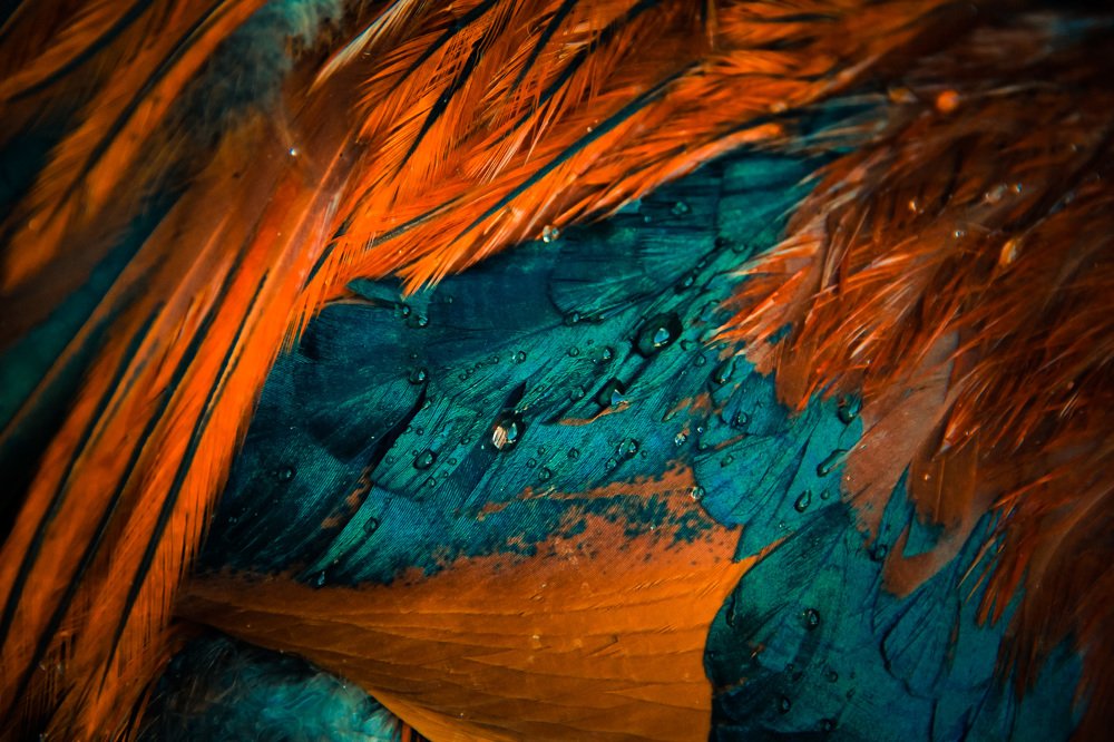 Photograph by Энжелина Бебешева