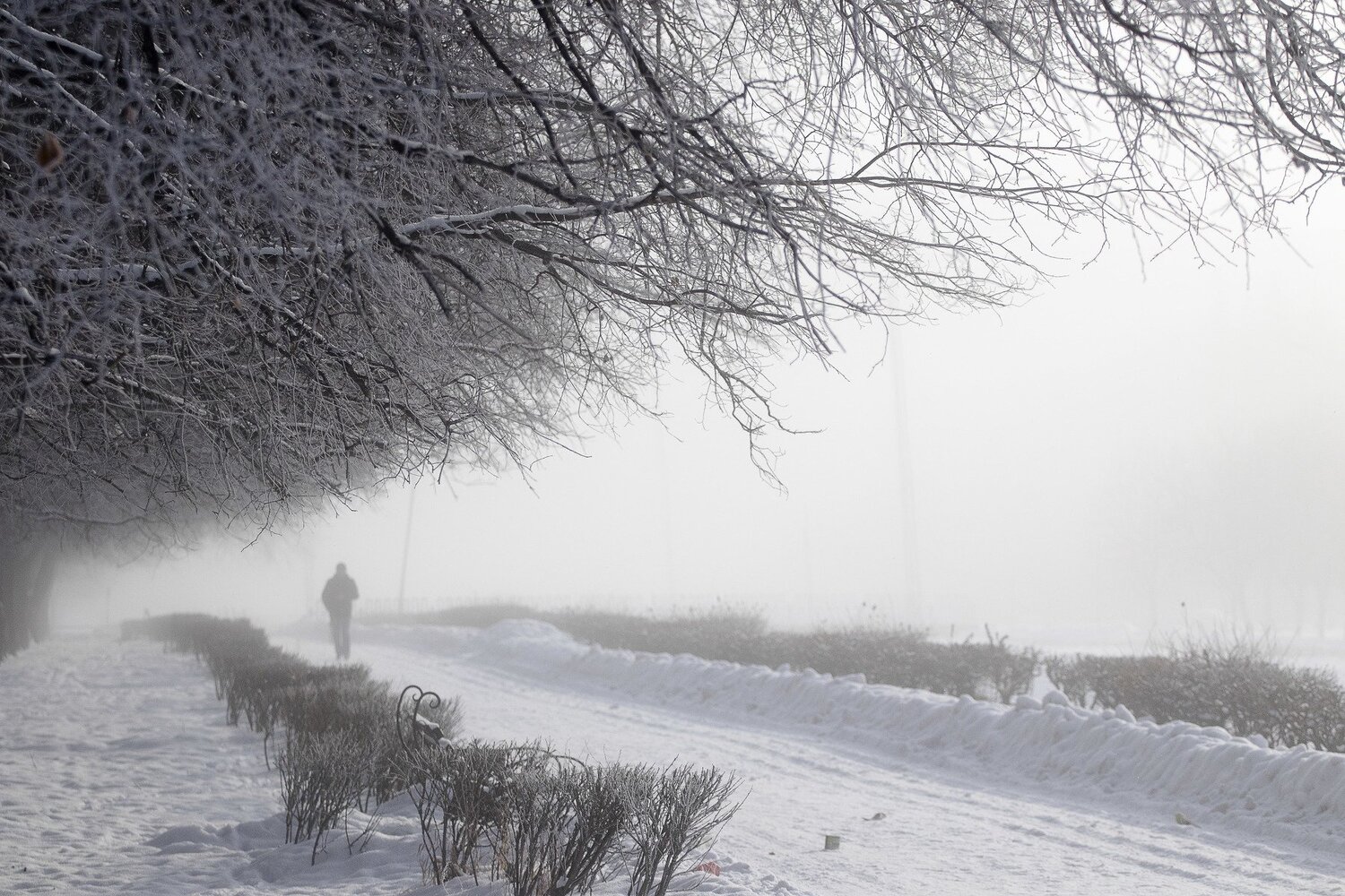 Photo #4377372