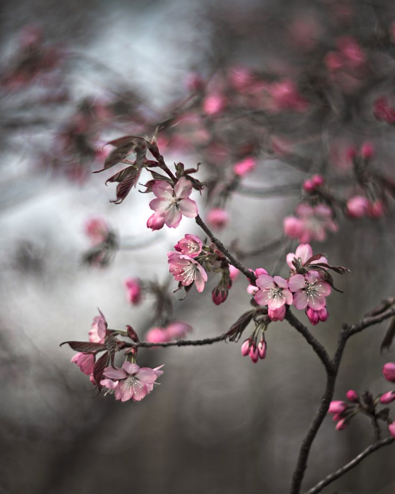 Photograph by Анна Топоркова