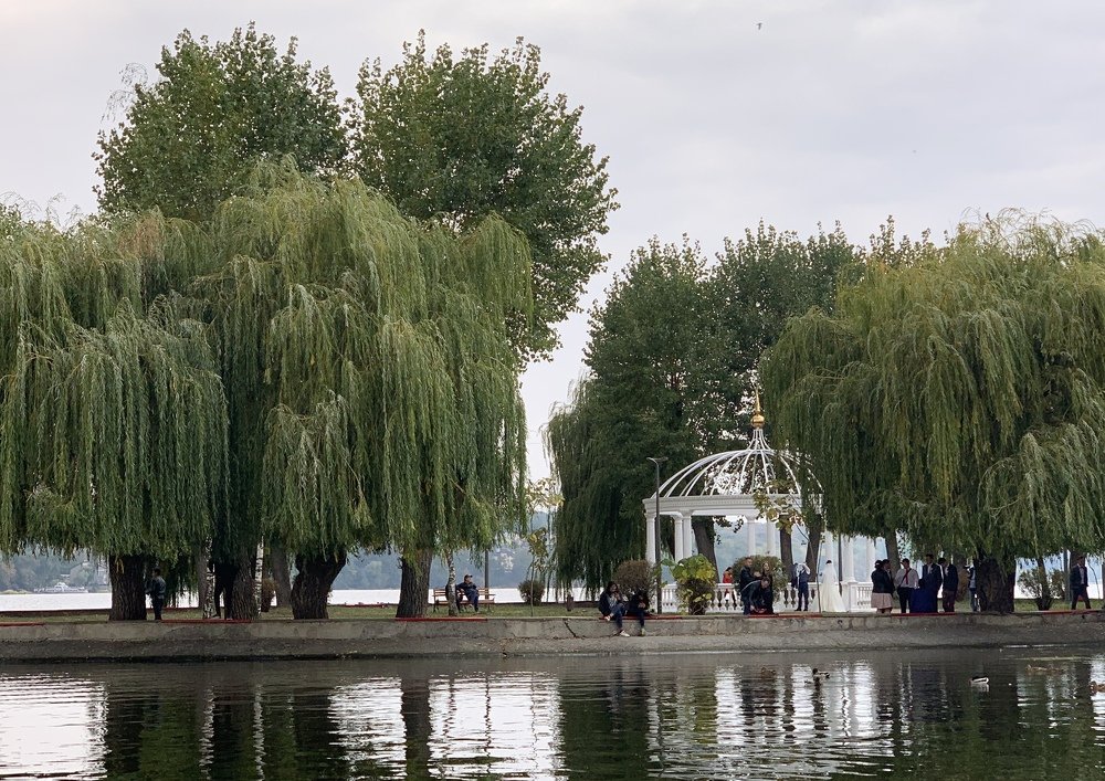 Photograph by Larisa