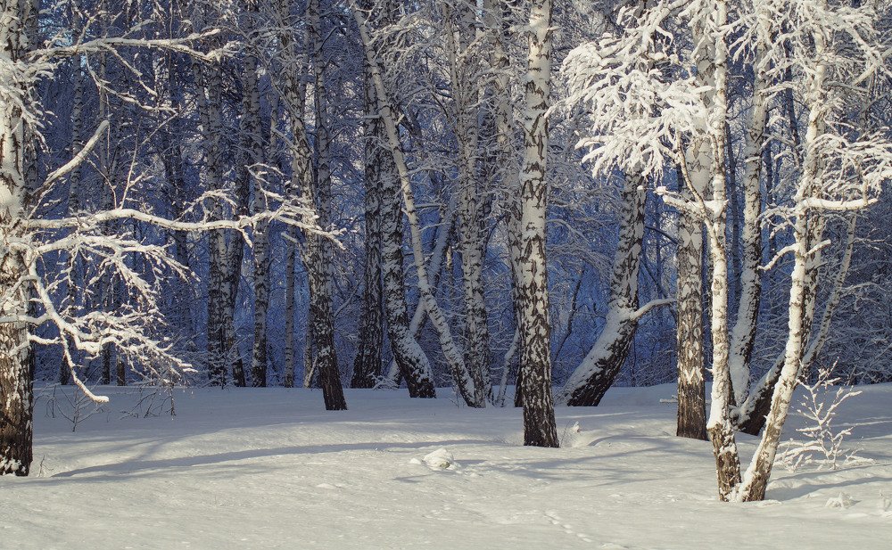 Photograph by Slesareva Nina