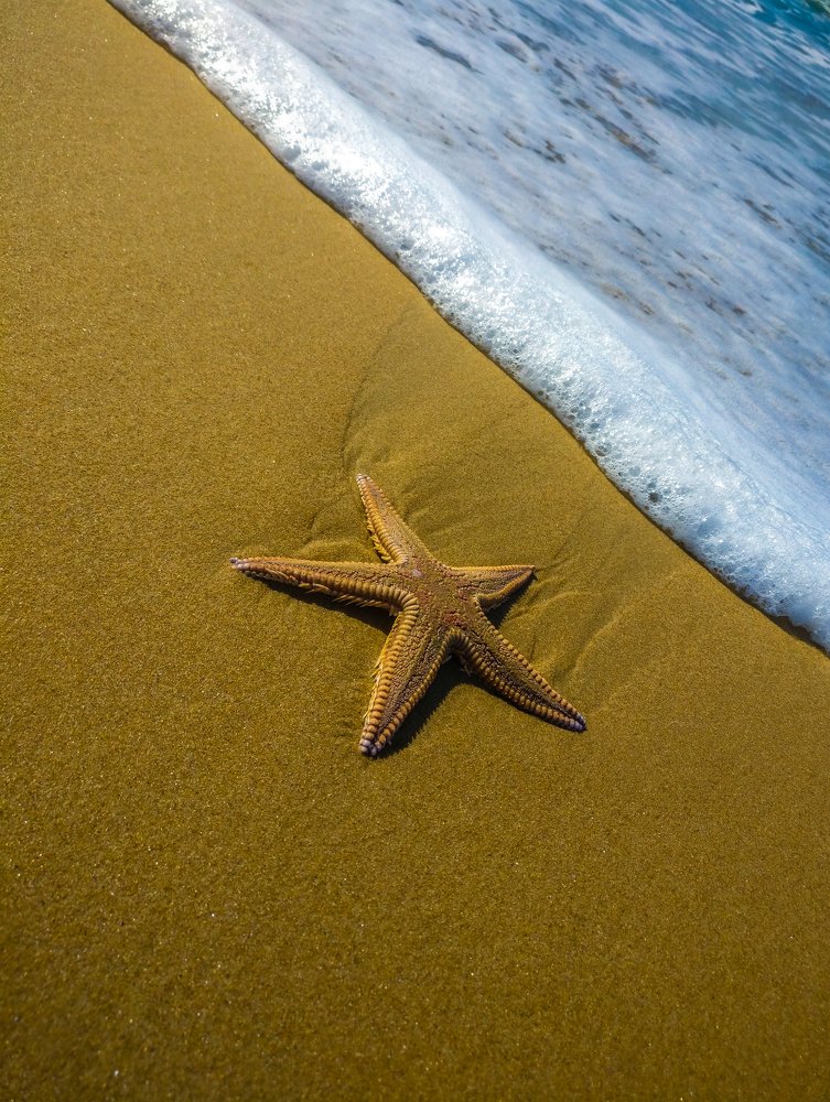 Photograph by Mário C.