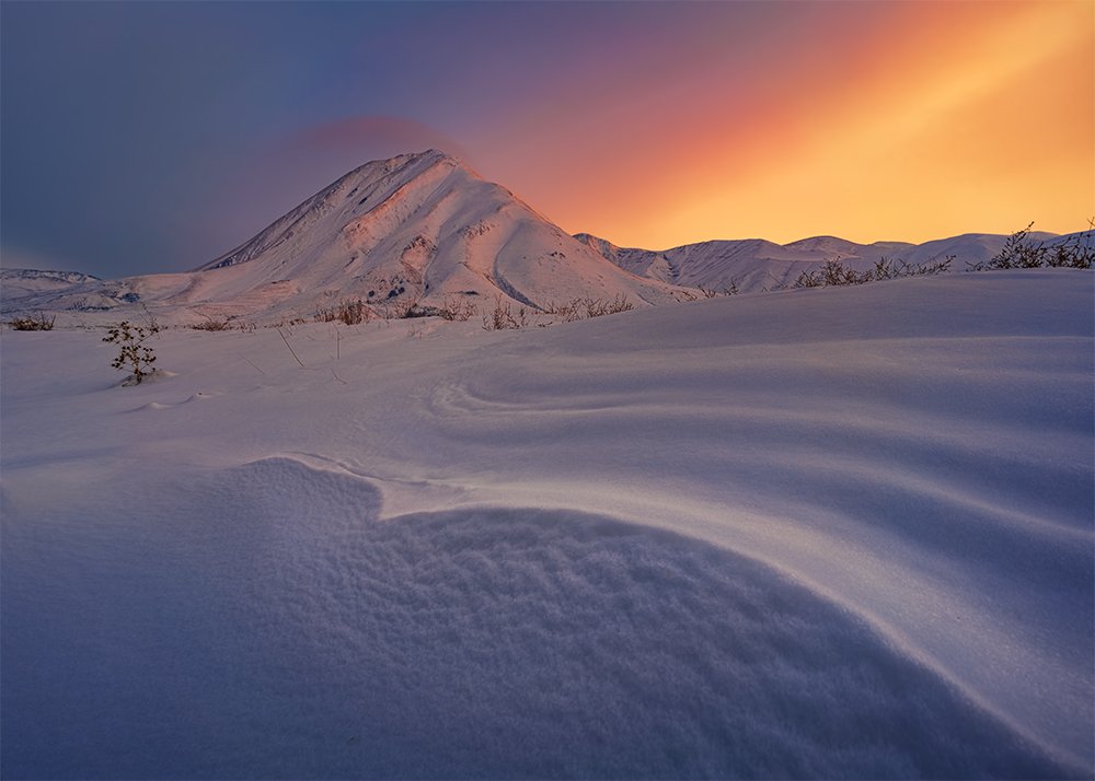 Фотография автора Saeed Ahmadzadeh