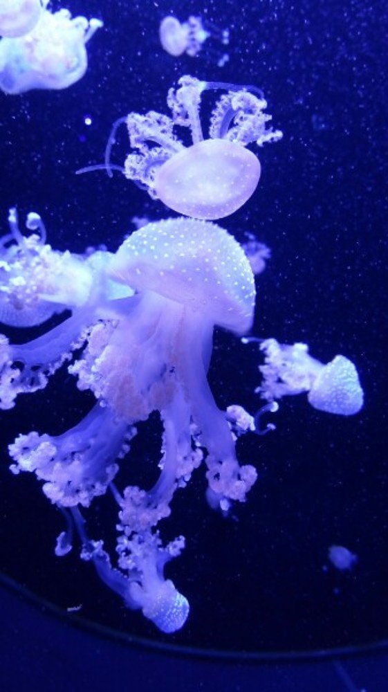 Photograph by Ростислав Самарин