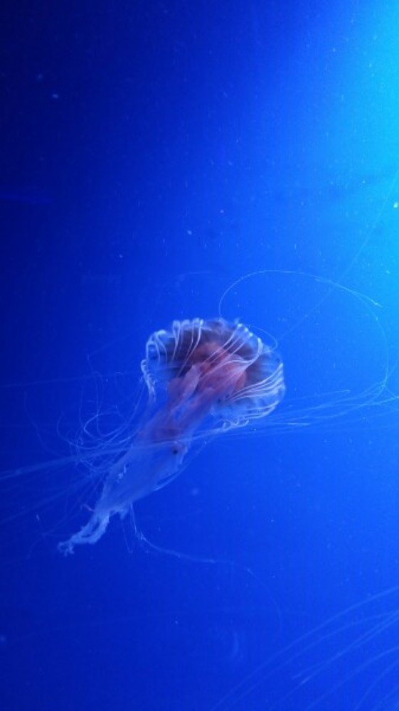 Photograph by Ростислав Самарин