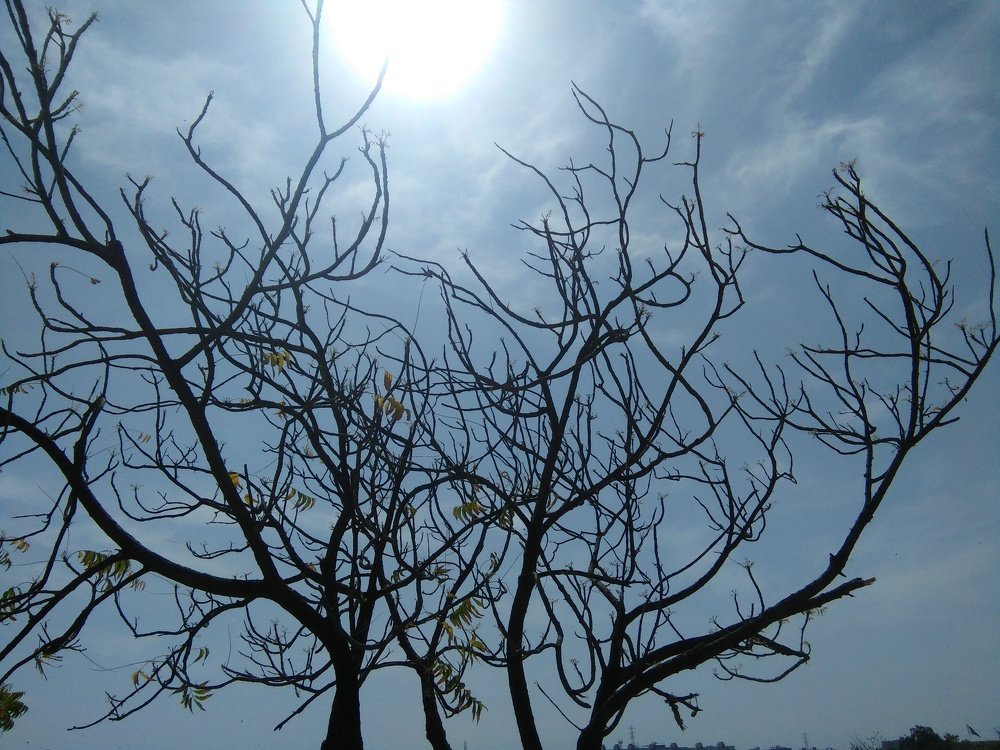 Photo #4377679