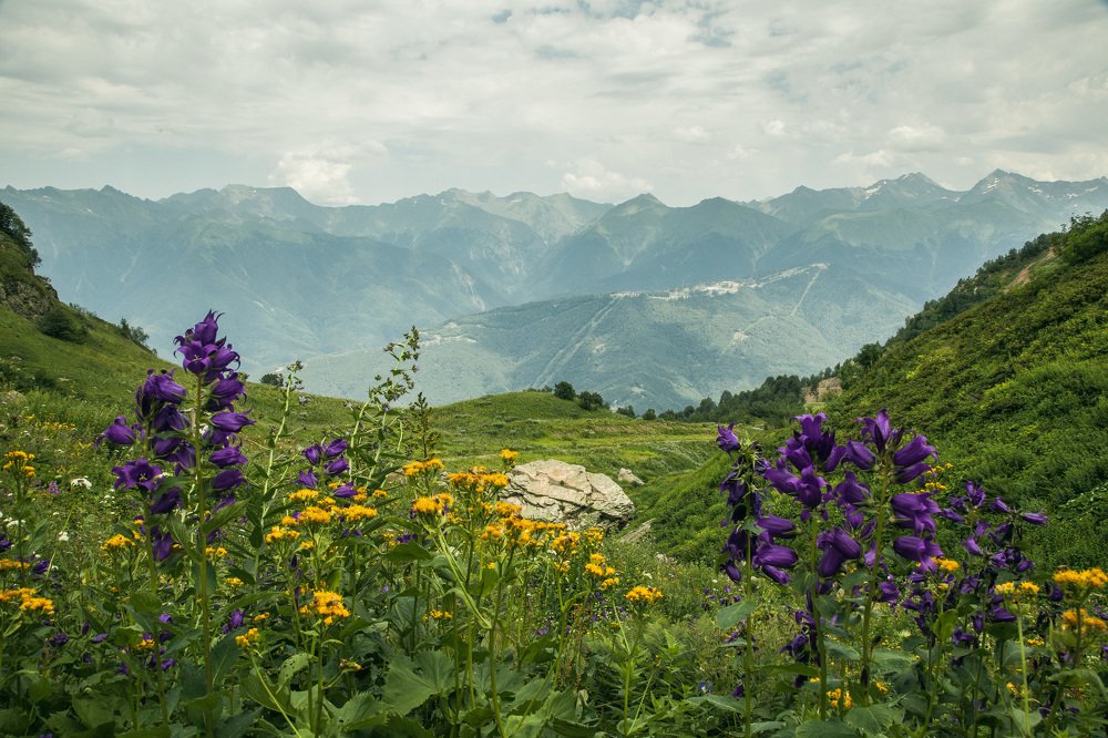 Где-то высоко высоко в горах