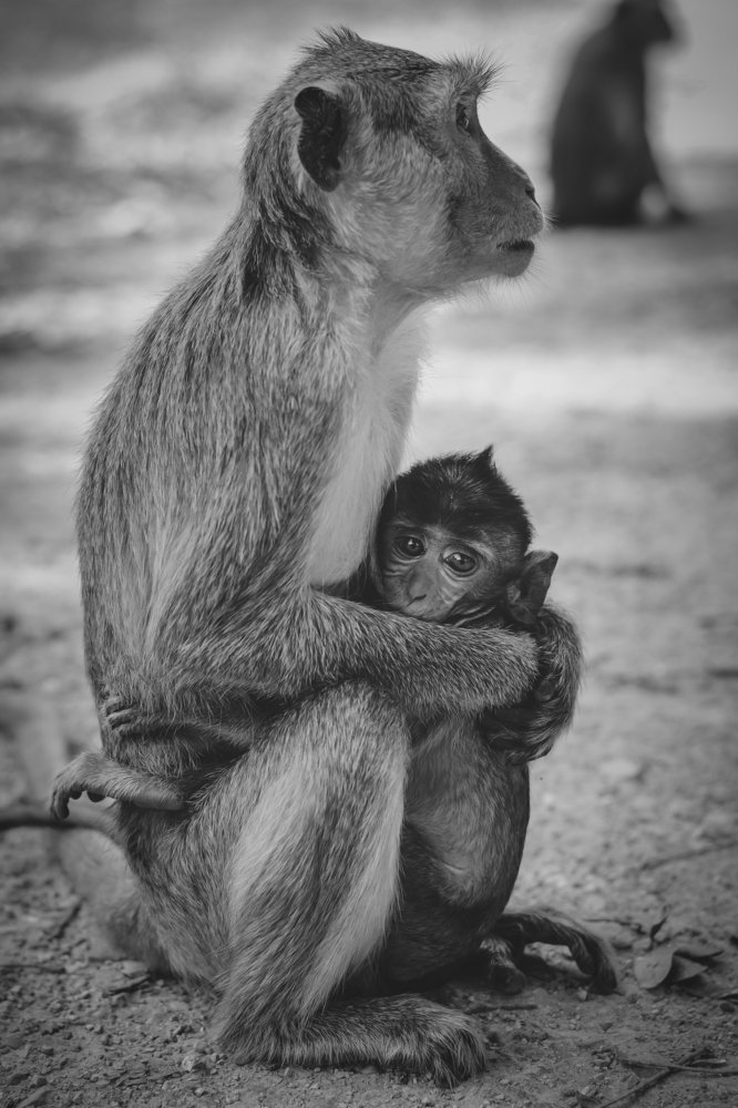 Фотография автора Екатерина Григорьева