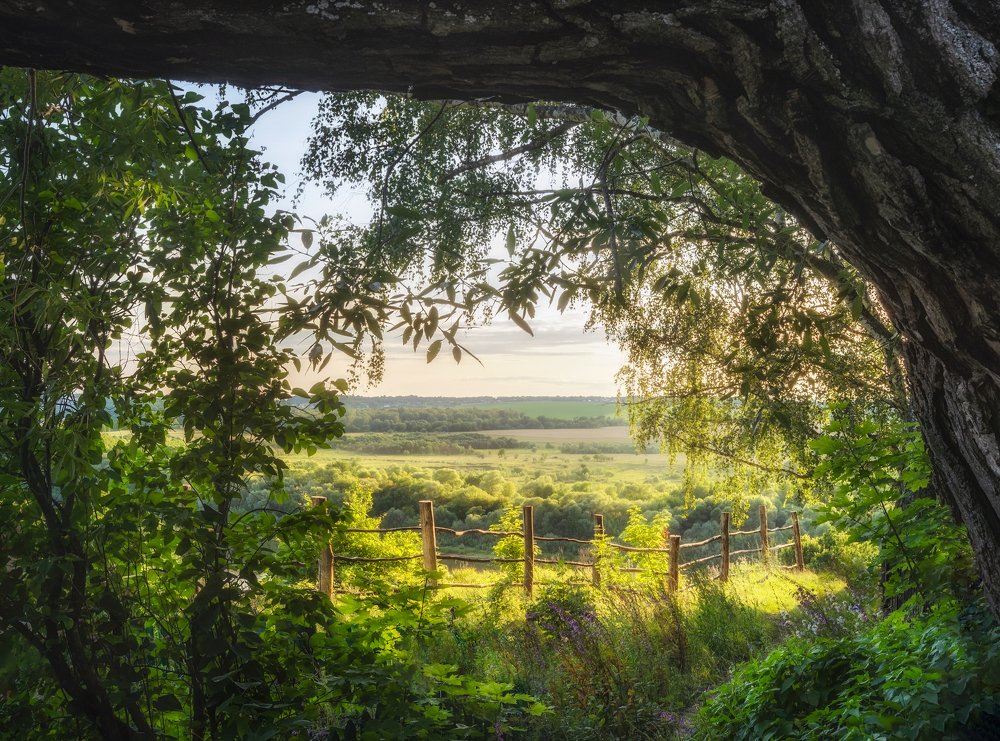 п.Поленово...Тульская область.Россия.