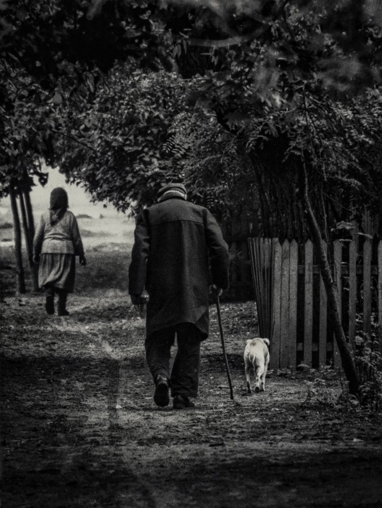 Photograph by Віктар Стрыбук