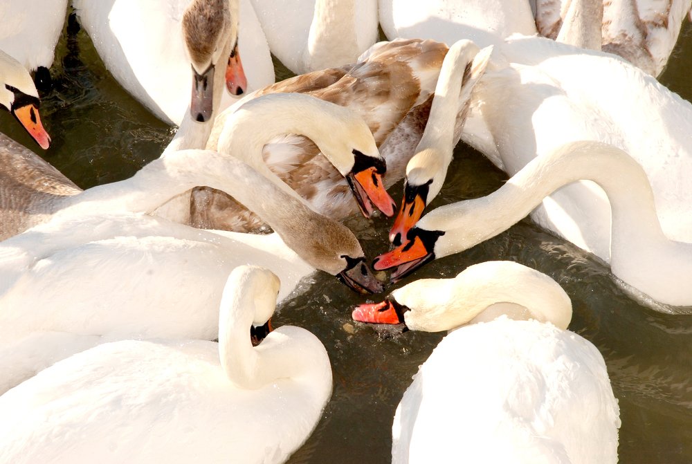 Photograph by Самат Нурекешов