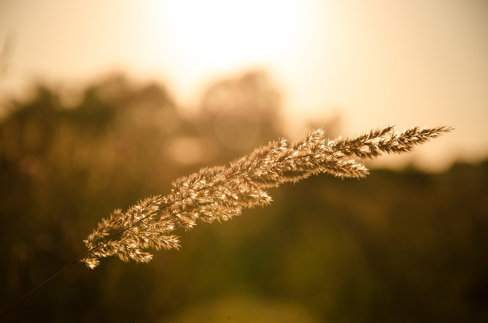 Photograph by Борис Шохин