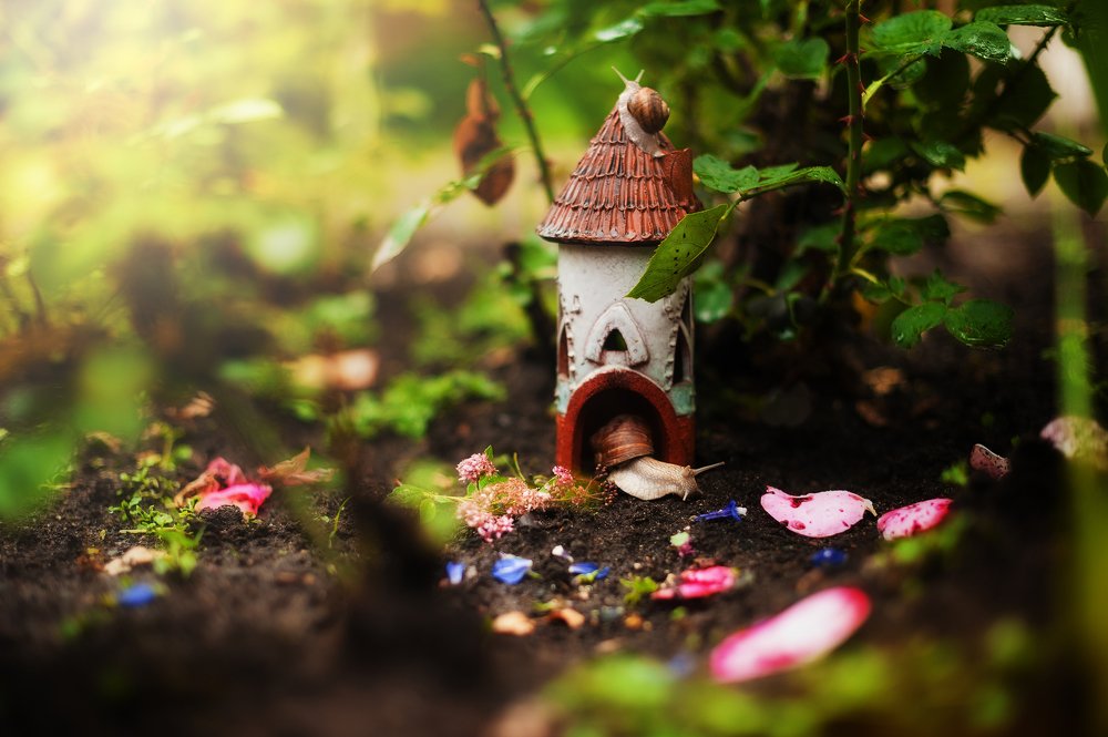 "Санта-Барбара" на дачный манер