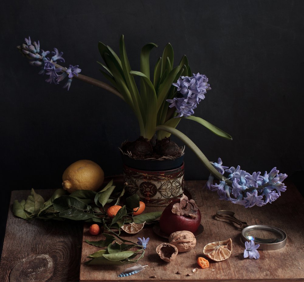 Photograph by marianna marina