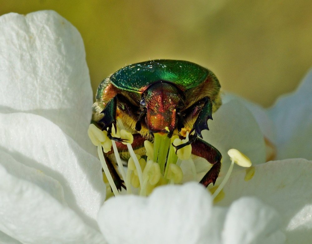 Photograph by Владимир Бормотов