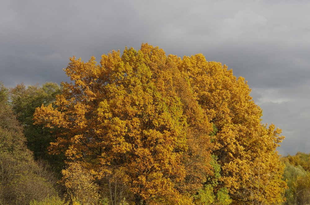 Photograph by Александр Иванов