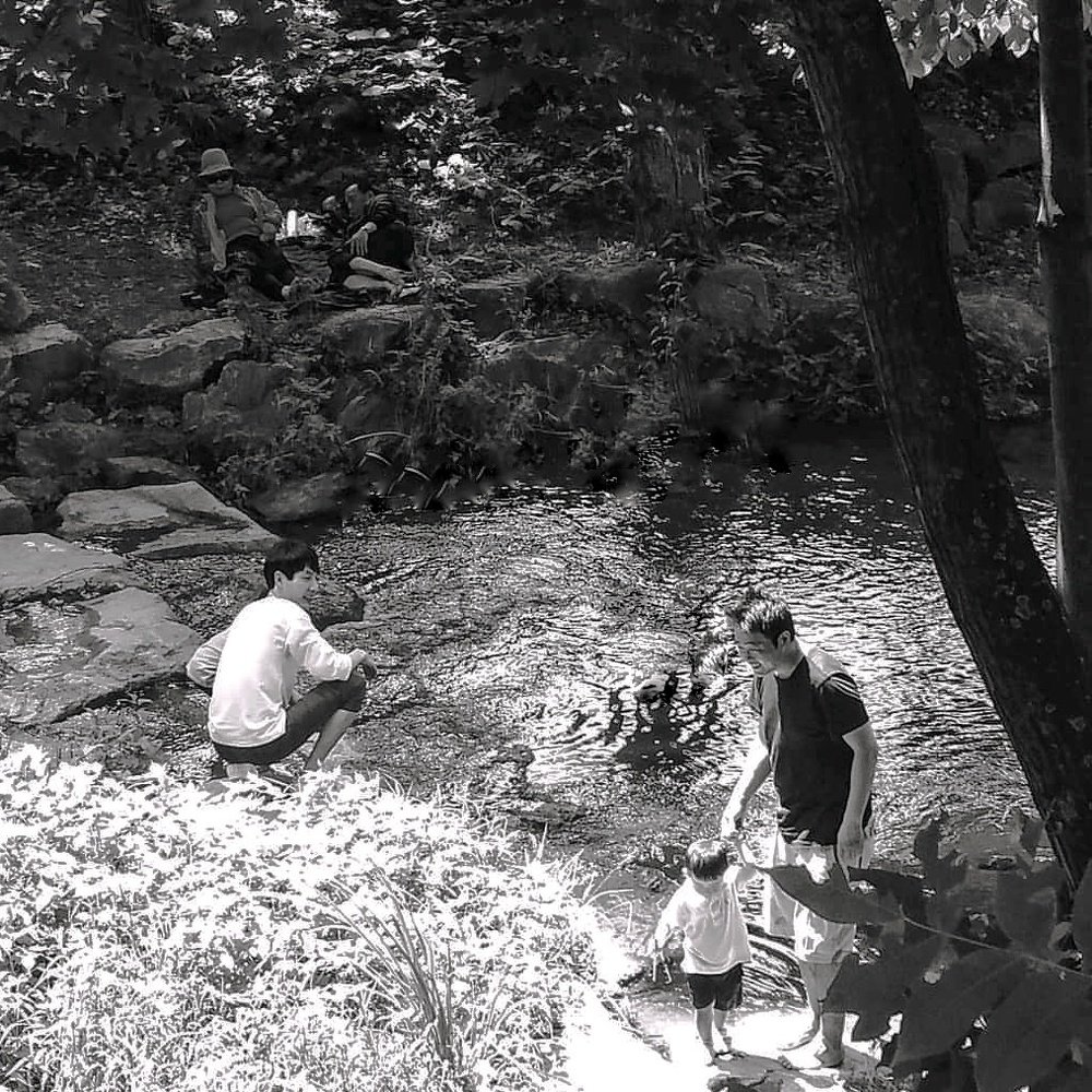 Семья(в тени бабушка и дедушка).