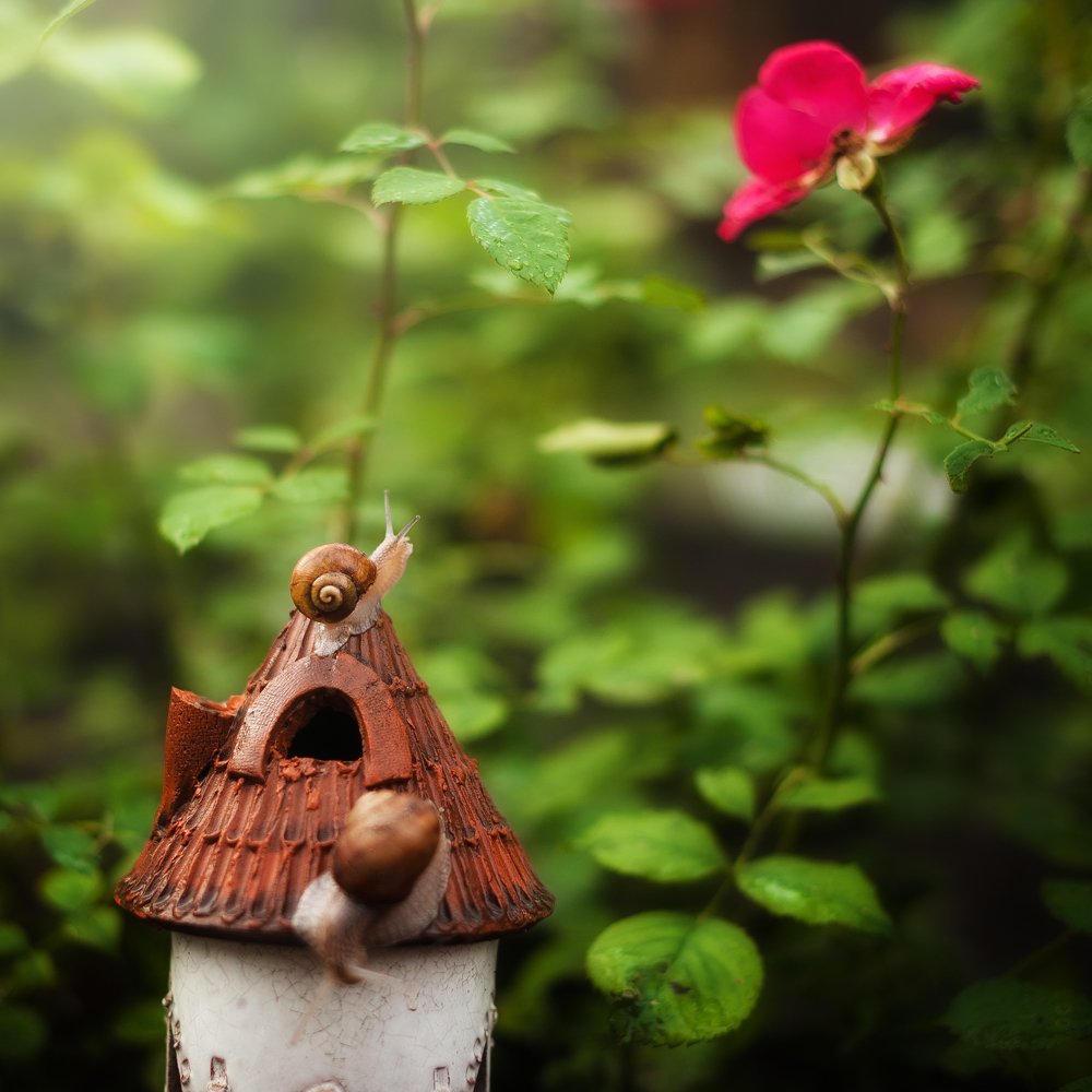 Photograph by Анна Титова