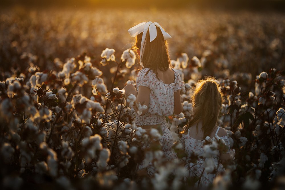 Girls in a cotton field