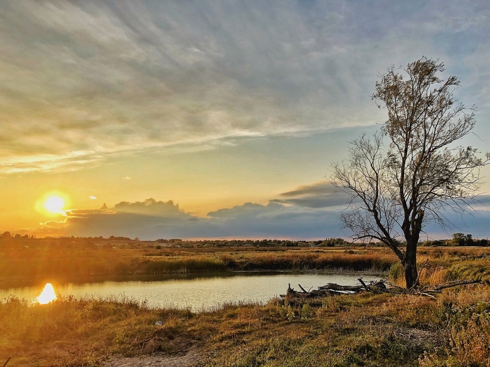 Photograph by Татьяна Пономарева