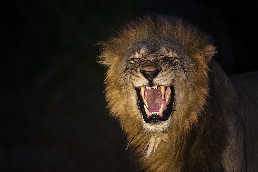 Photograph by Rajarshi Banerji