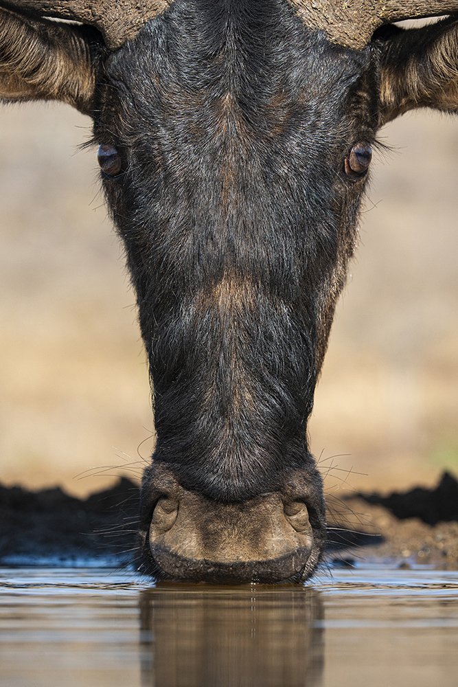 Photograph by Rajarshi Banerji