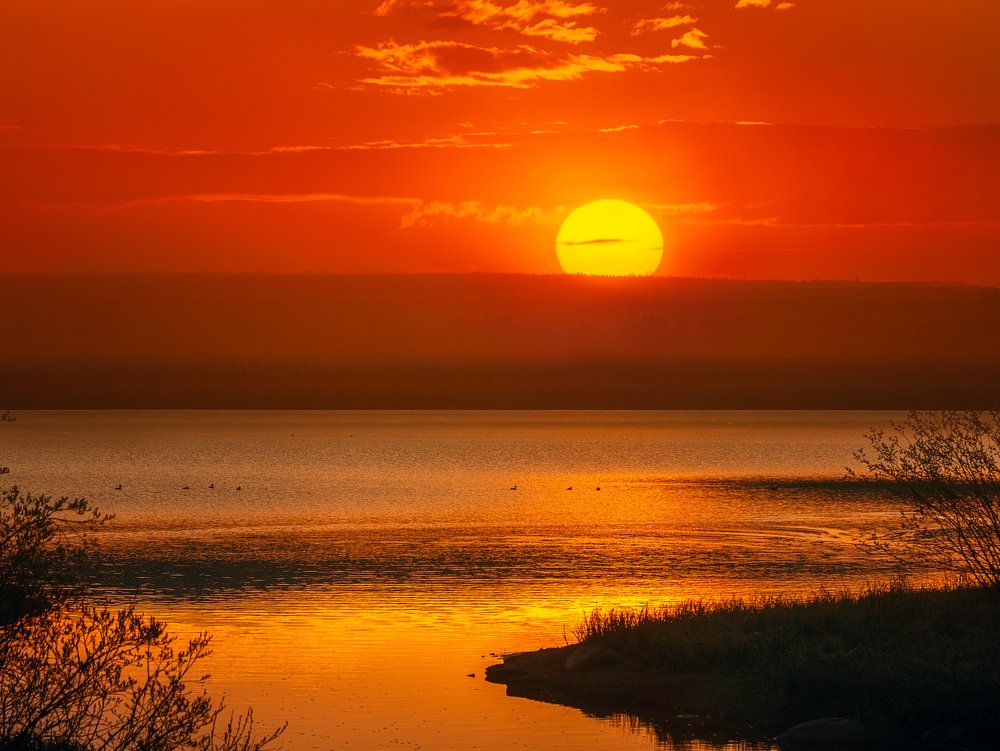 Photograph by Олег Семенкевич