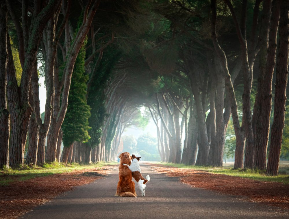 Photograph by Анна Аверьянова