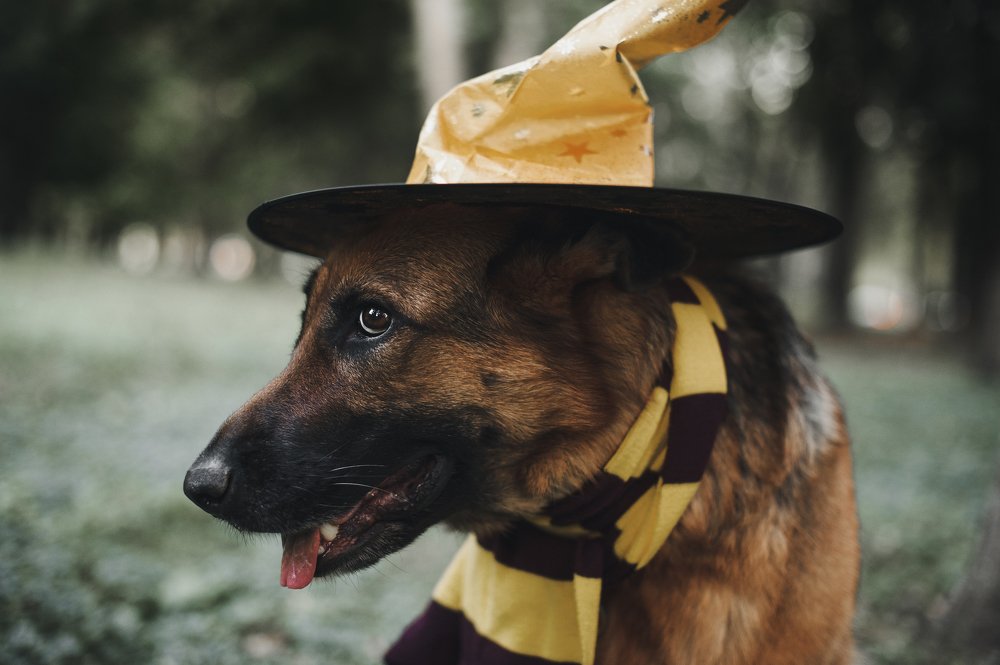 По следам Гарри Поттера...