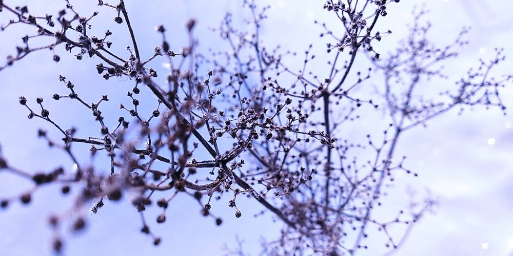 Зимняя сказка