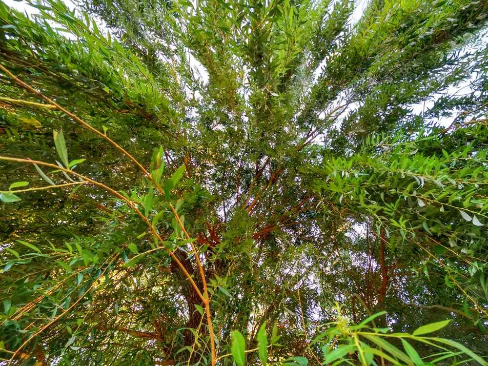 Photograph by Утробина Анна