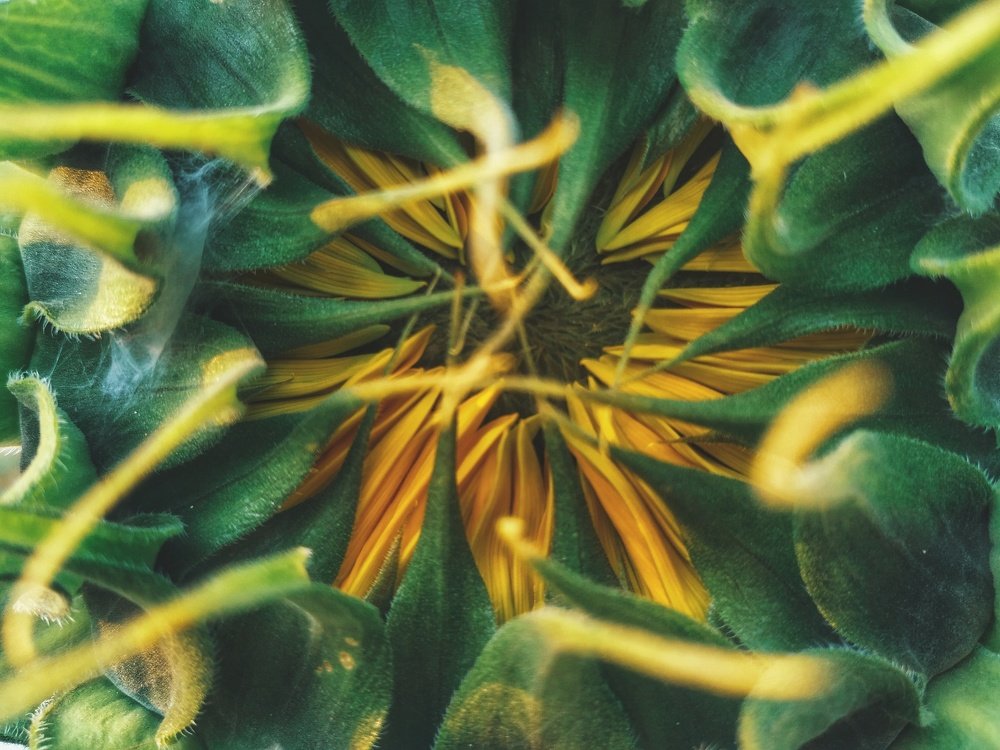 Photograph by Majbaul Hasan