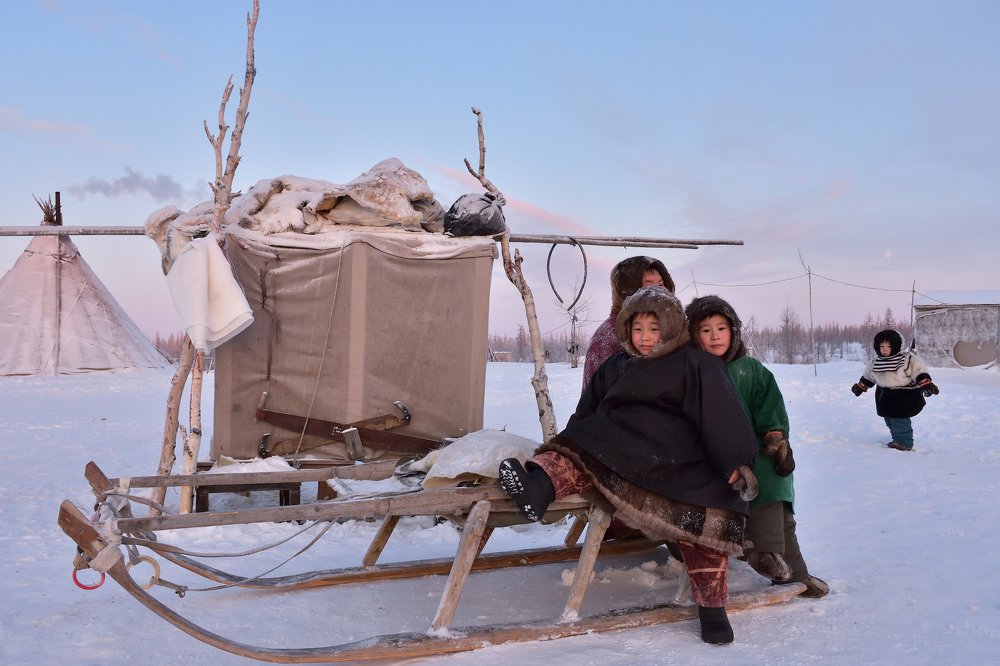 Ждем оленей