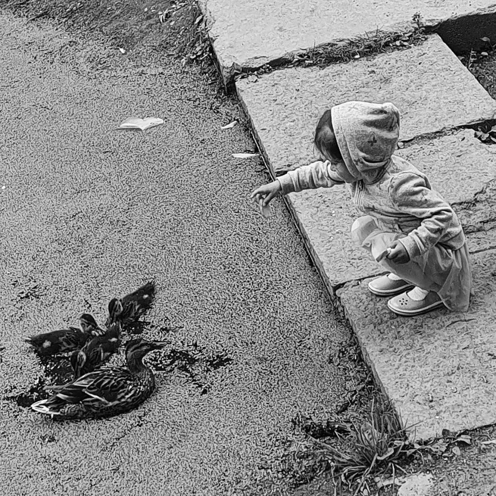 Девочка и утки.