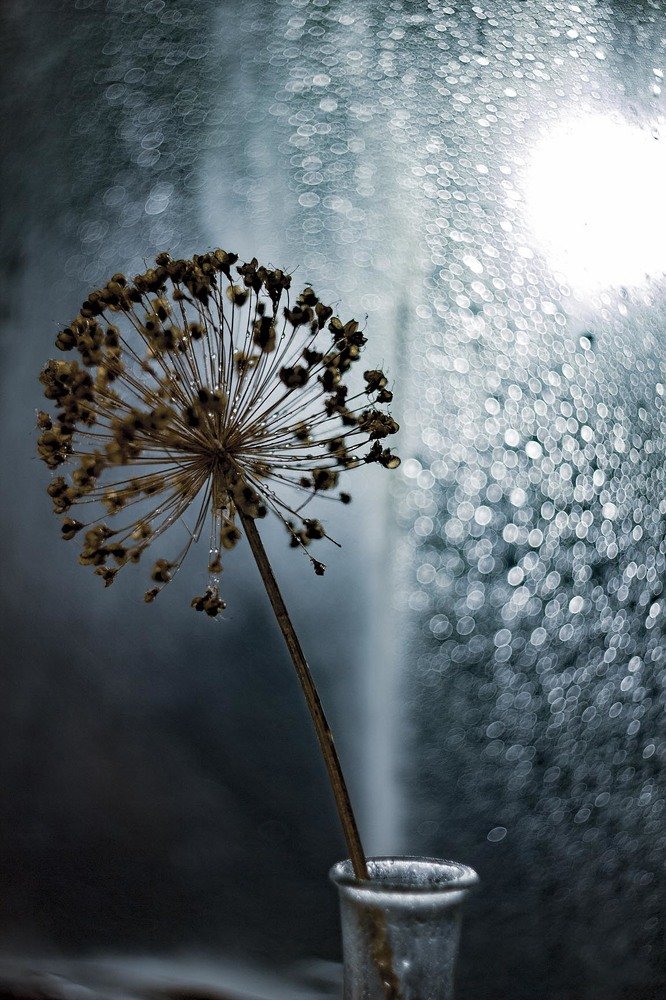 Сухая осень