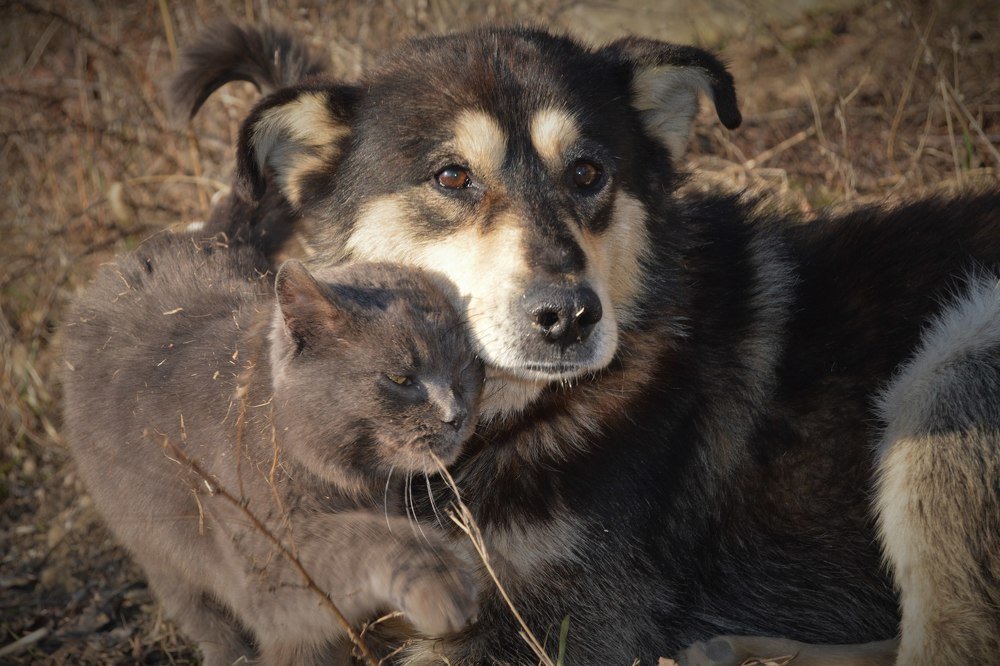 Photograph by Алла КОНАРЕВА