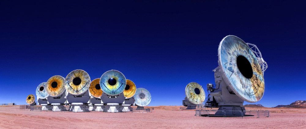 Is there anybody out there...