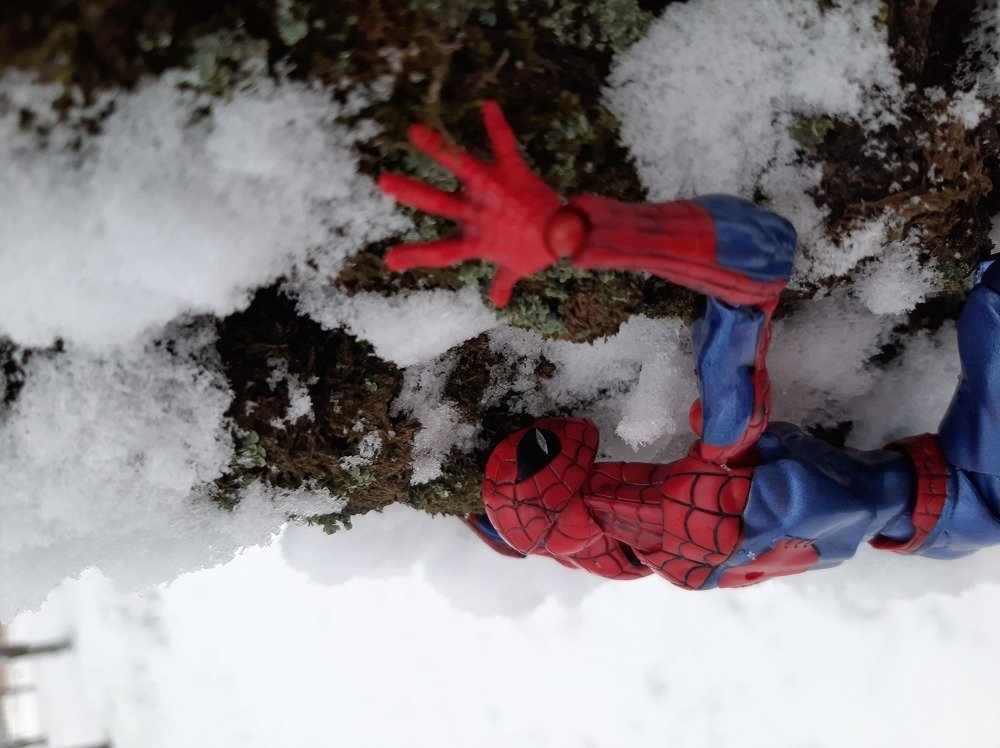 Photograph by Анастасия Зенкина