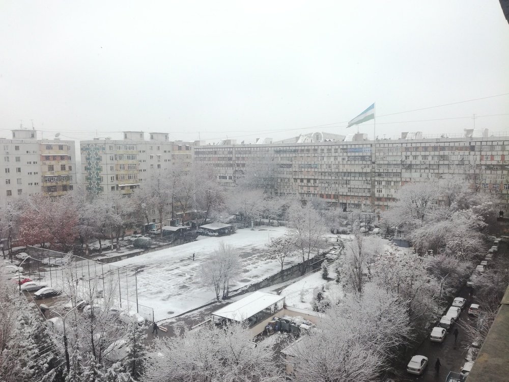 Photo #4378612