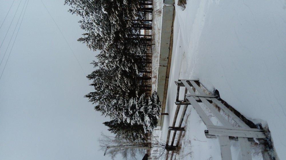 Photo #4378676
