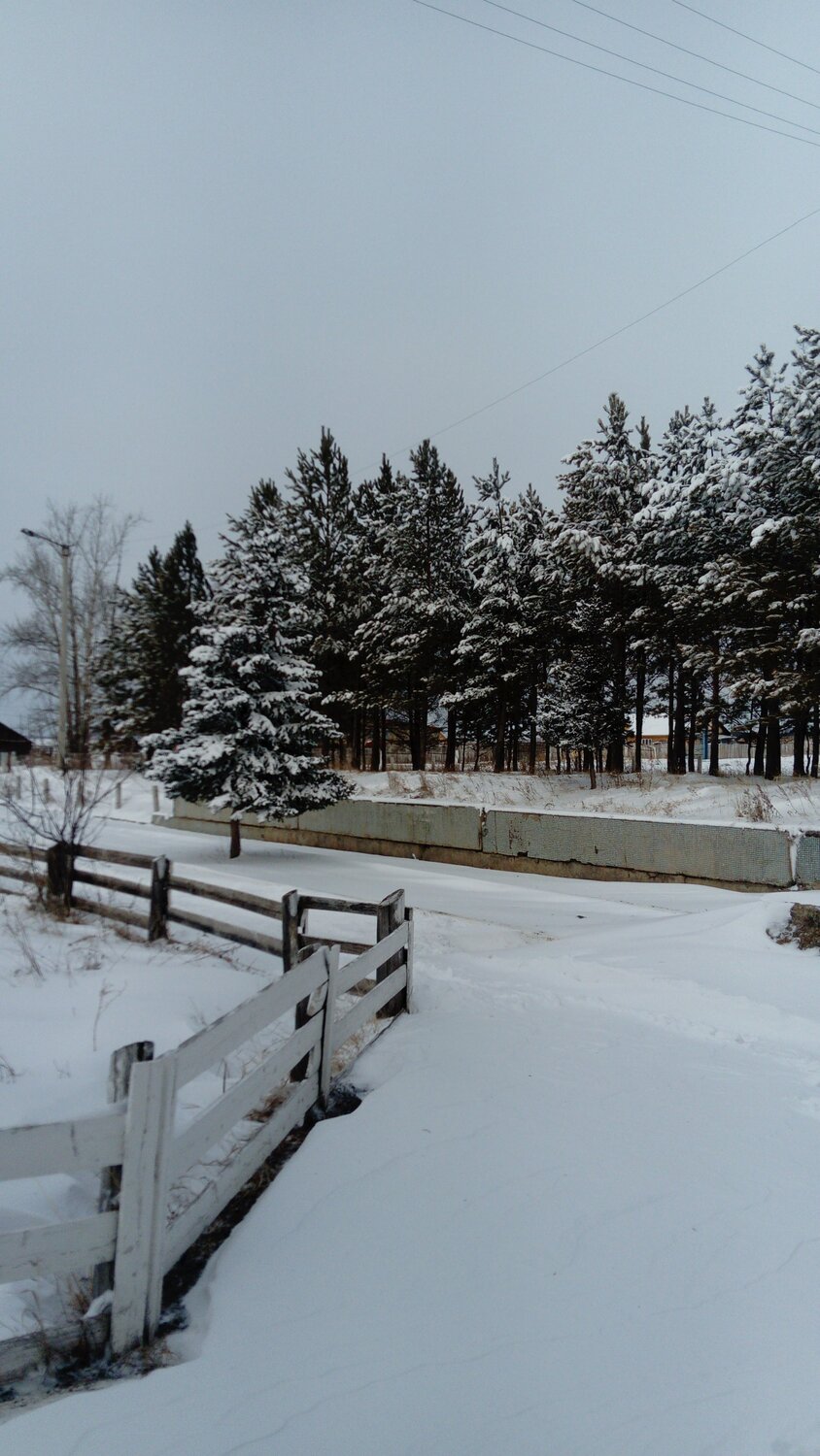 Photo #4378676