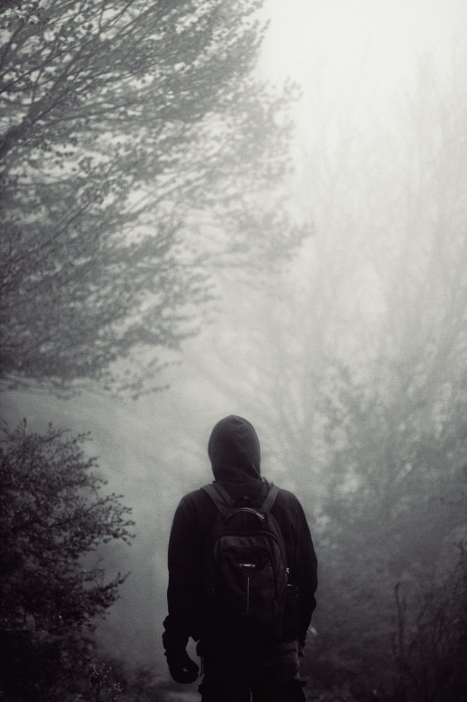 Photograph by Pedrum Ashoury