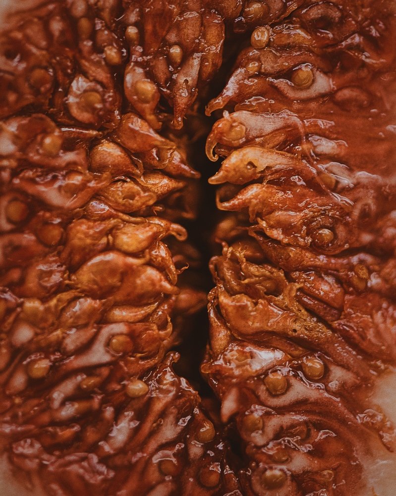 Photograph by Татьяна