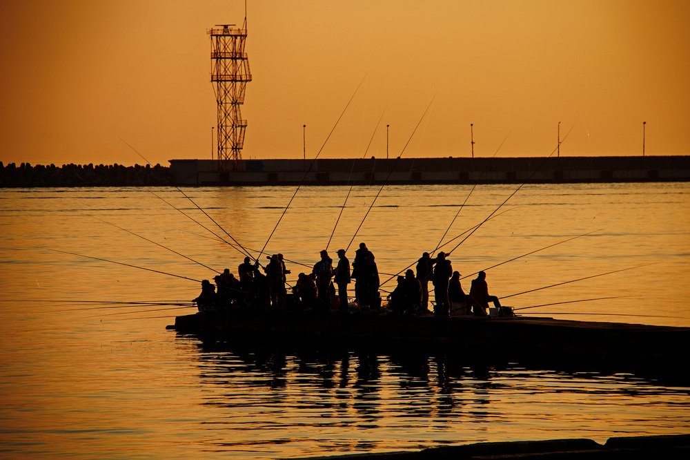 Photograph by Олег Ведерников