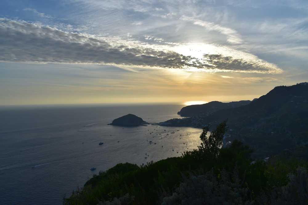 Photograph by Mona Antohi