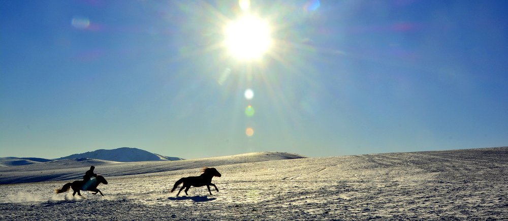 Steppe Mongolia