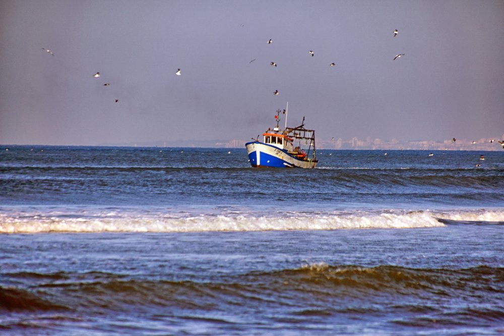 Photograph by Mário C.