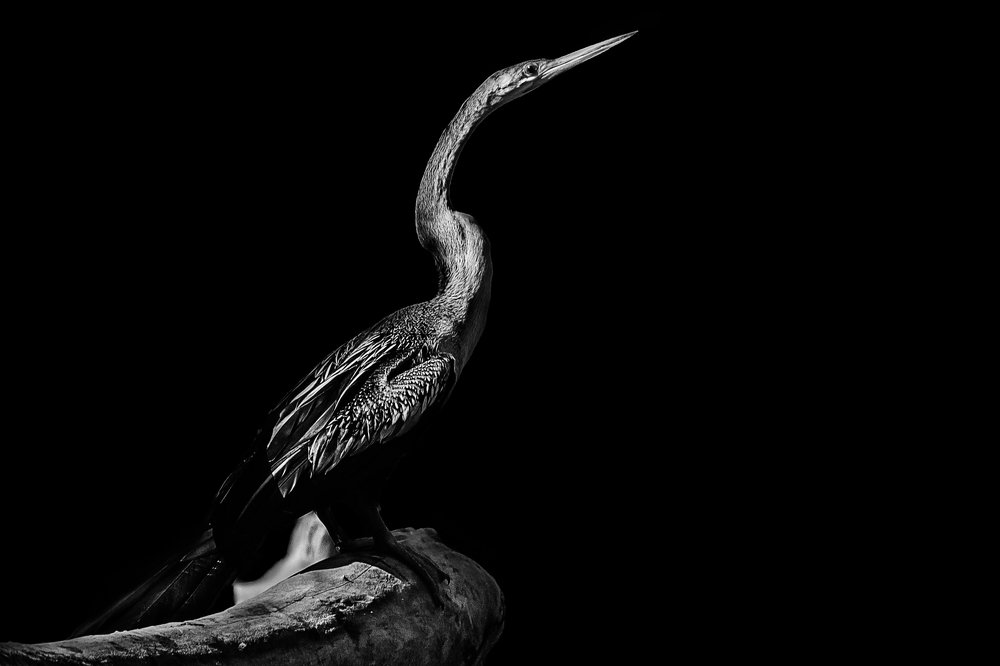 Photograph by Claudio Frateschi