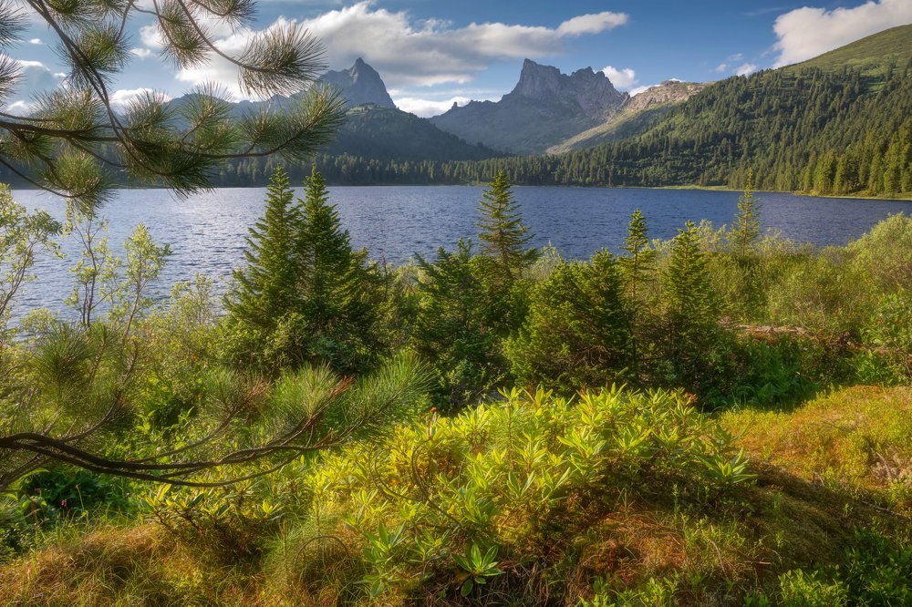 Светлое в зеленом...