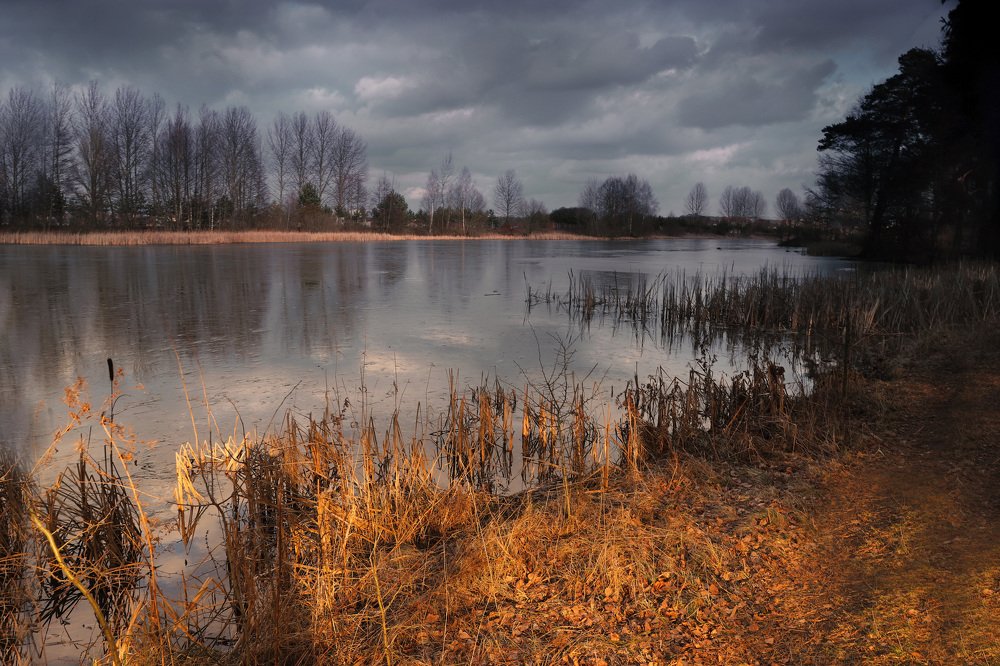 Вечер февраля